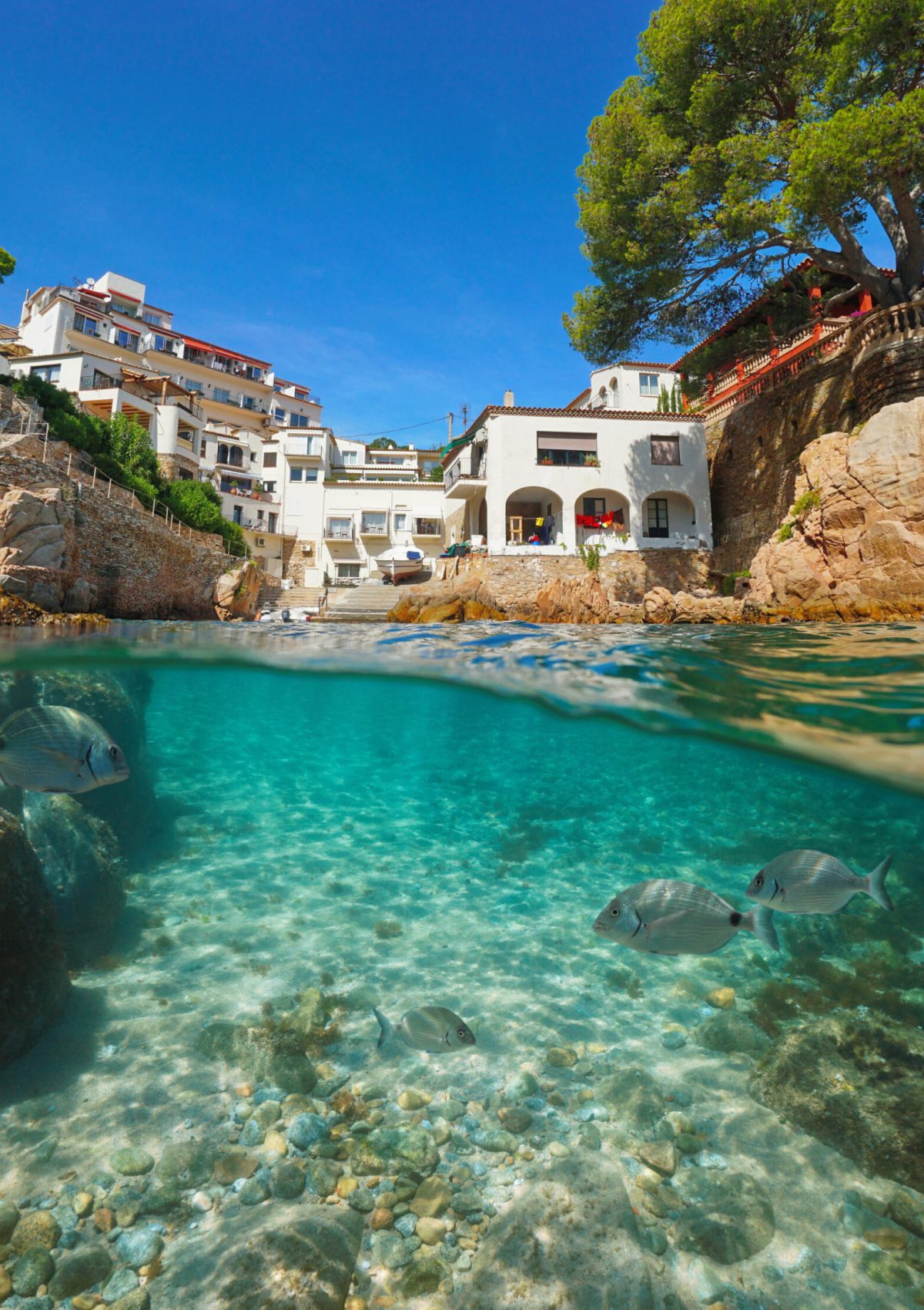 Spain Costa Brava typical village on the Mediterranean coast and fish underwater, Fornells de Mar, split view half above and below sea surface, Begur, Catalonia